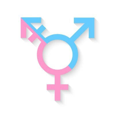 Best Trans